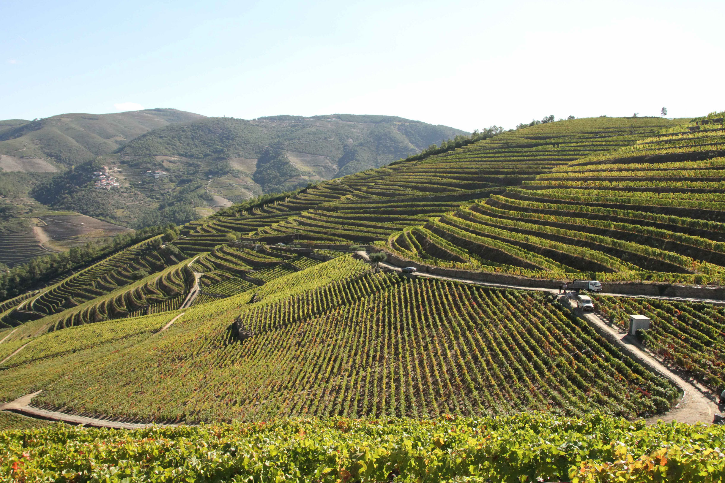Quinta da Água